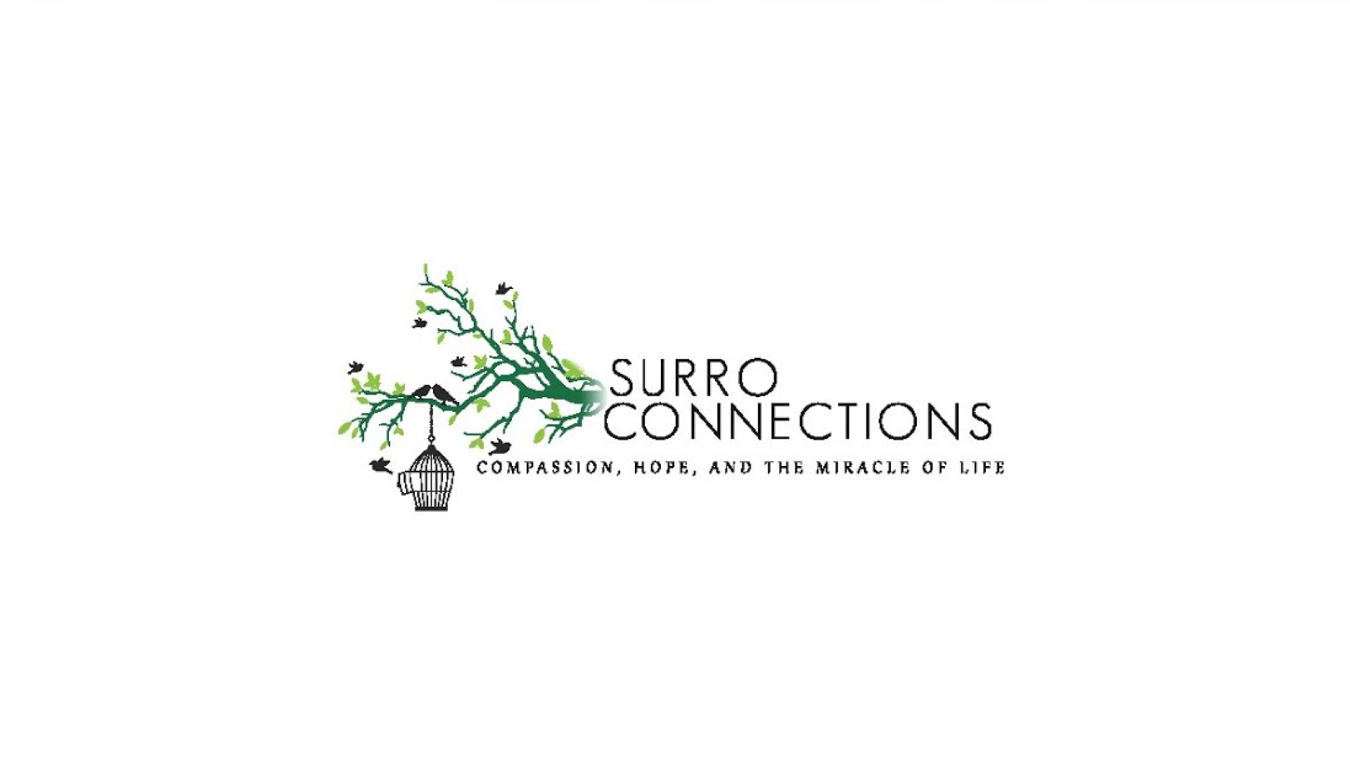 Surro Connections Collapse: What Families Need to Know About Agency Risk